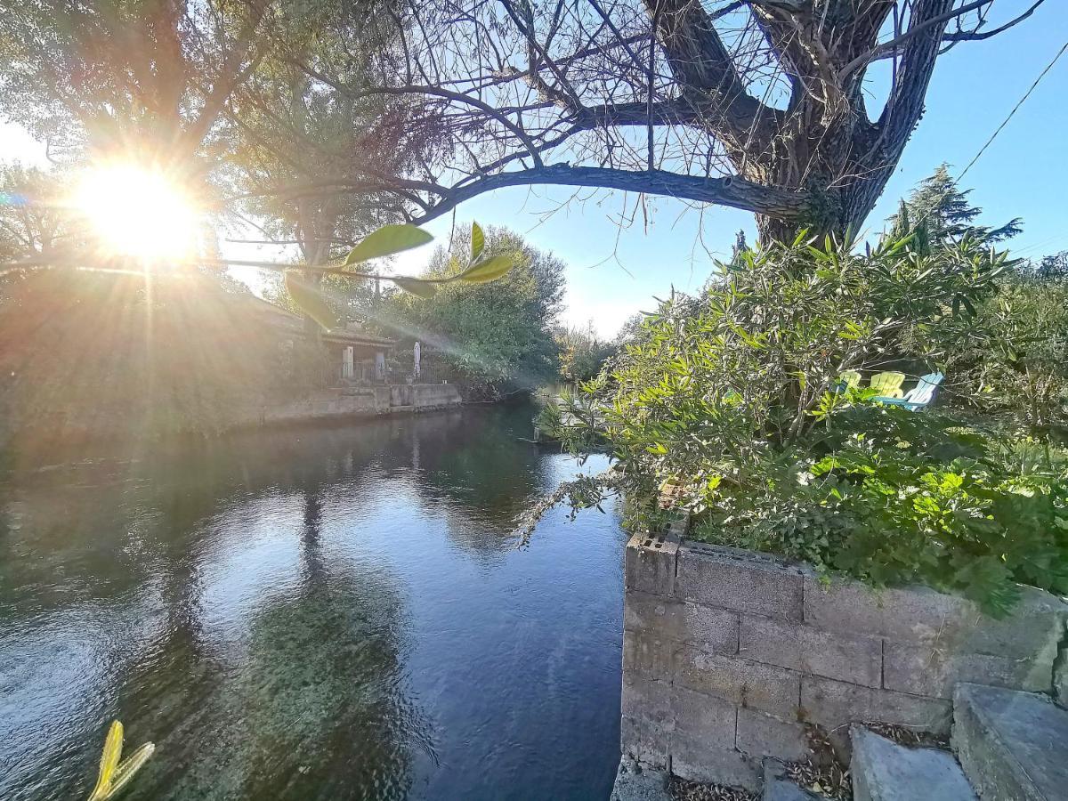 Gite L'Odonate, Partage Des Eaux LʼIsle-sur-la-Sorgue Exterior foto